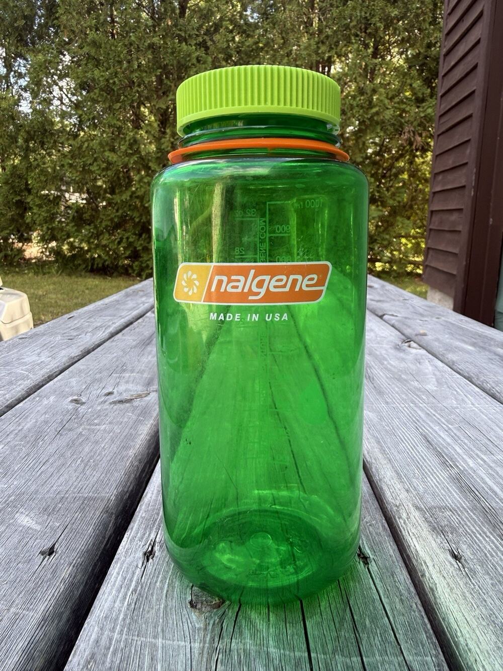 Nalgene 32 oz Green Plastic Wide Mouth Water Bottle w/ Screw-on Lid
